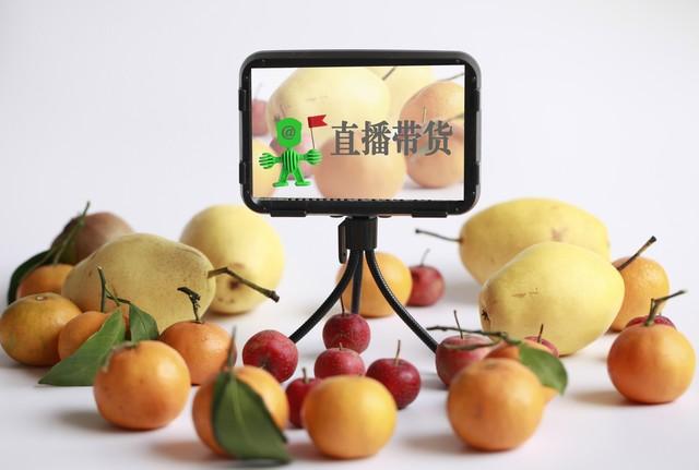 电商推广途径有哪些(五大推广技巧)